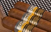 cohiba 1966