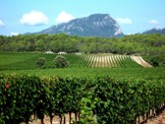 languedoc