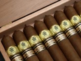 limitada 2010