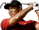 woods