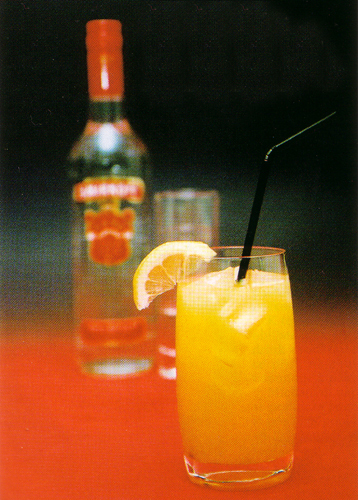 03.jpg