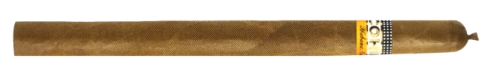 05.jpg