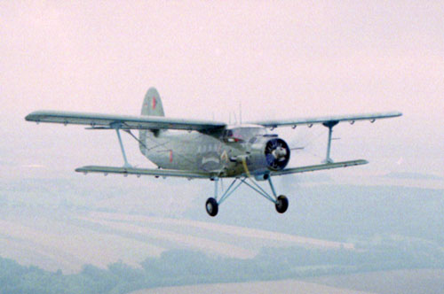 andula01.jpg